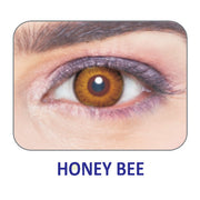 Honey Bee