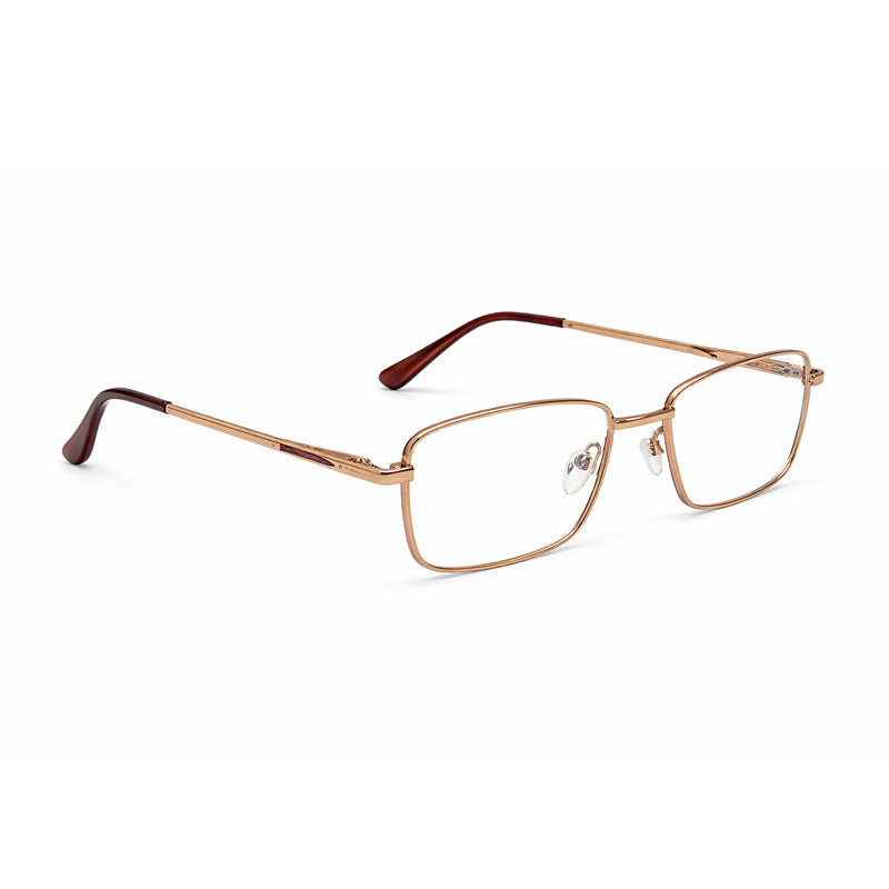 Modern Rectangular Eyeglasses – ACL Genre-2